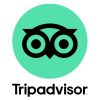 Trip advisor logo
